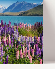 After Hover: Flower meadow in a blue mountain lake landscape