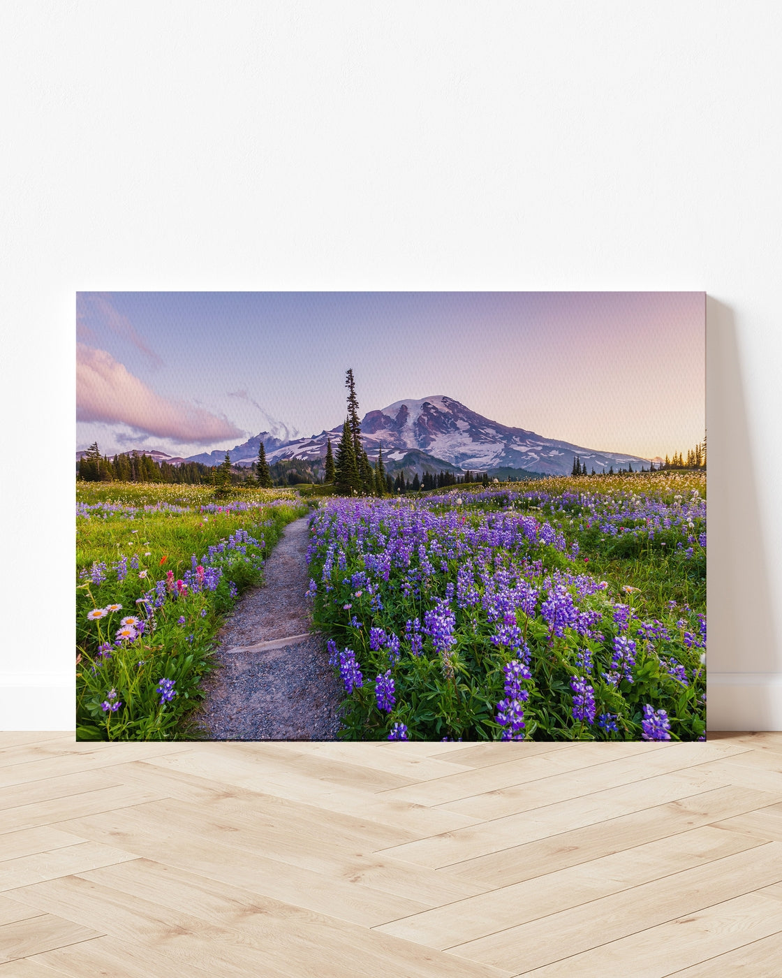 stretched-canvas