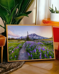 After Hover: Blumenwiese vor Berg-Kulisse mit violetten Blumen