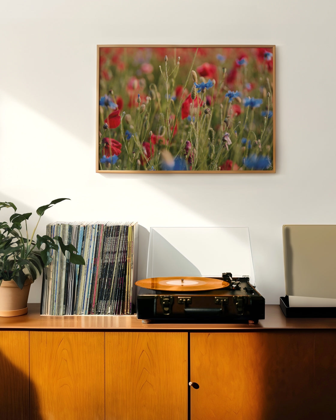 canvas