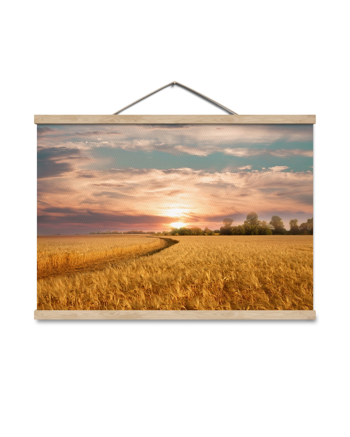 canvas
