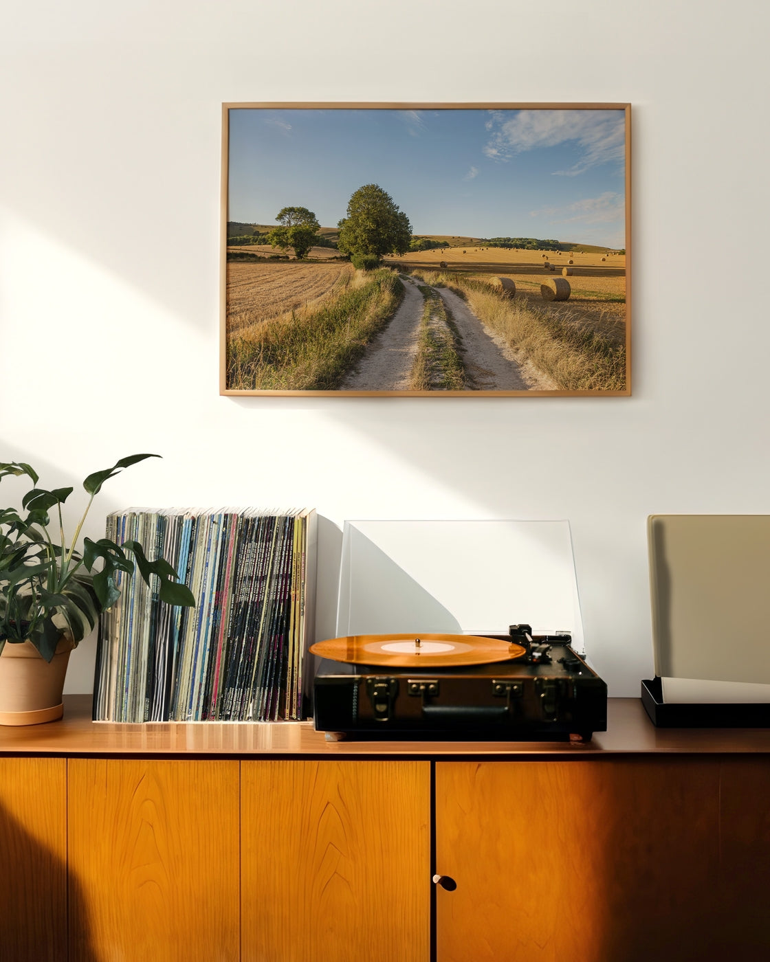 canvas