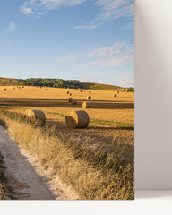 After Hover: Summer field