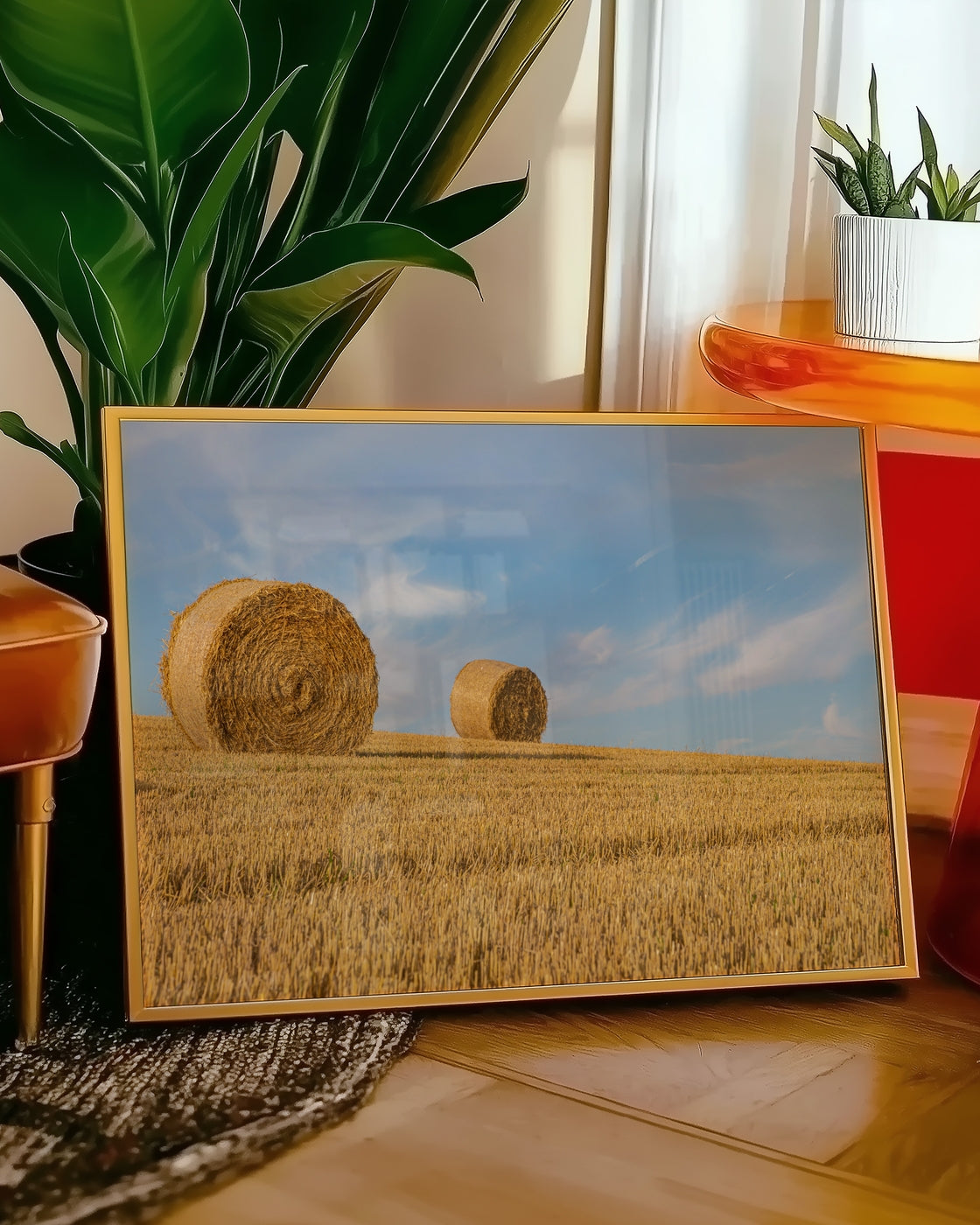 canvas
