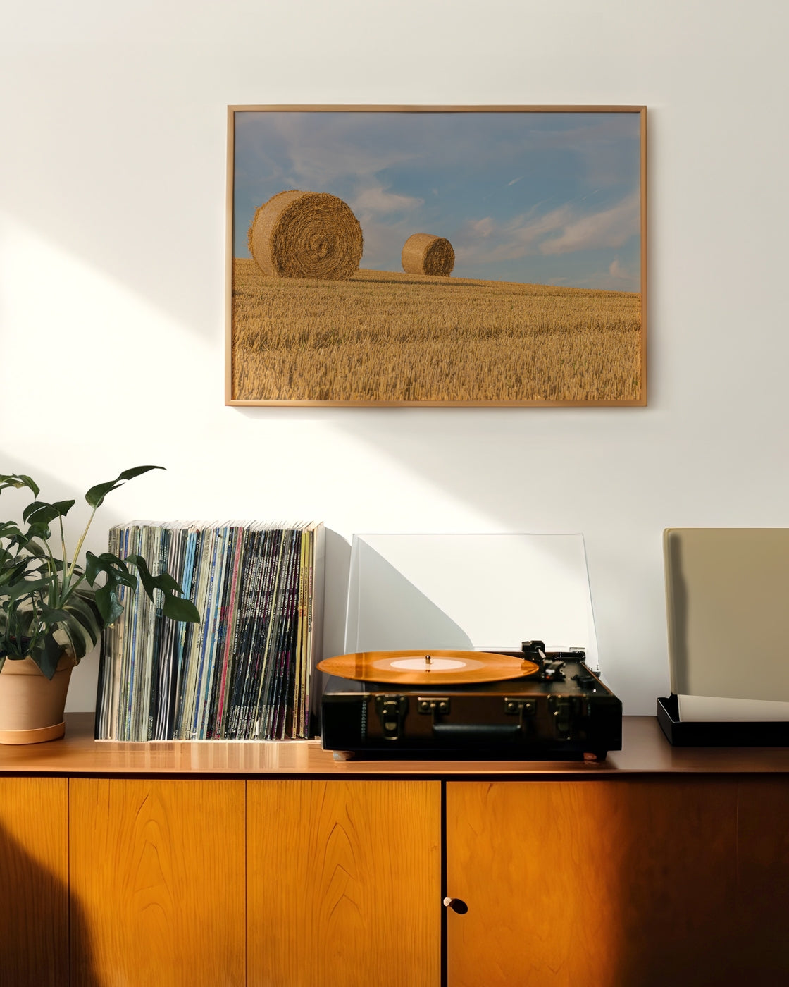 canvas