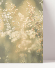 After Hover: Grasses and flowers - close-up