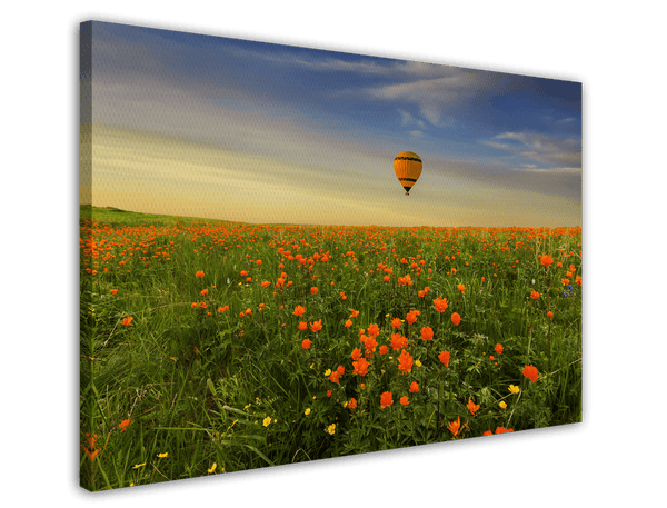 Heißluftballon über einer Blumenwiese
