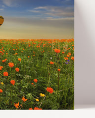 After Hover: Hot air balloon over a flower meadow