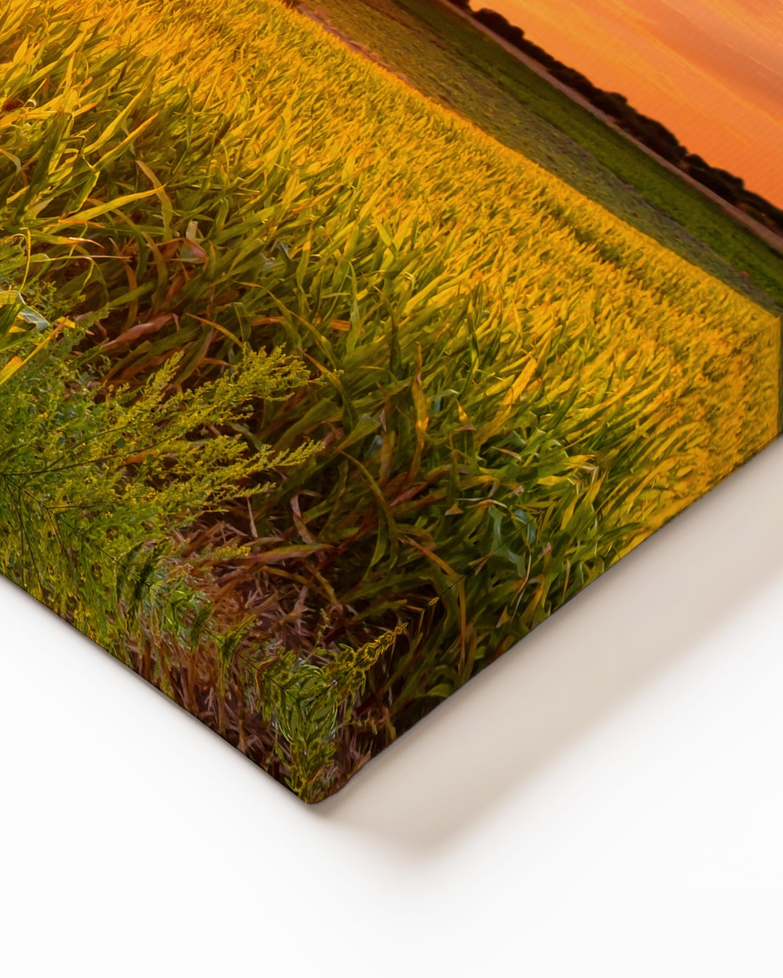 stretched-canvas