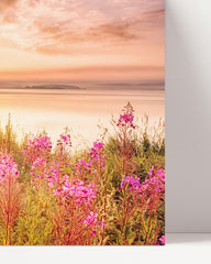After Hover: Flowers by the lake