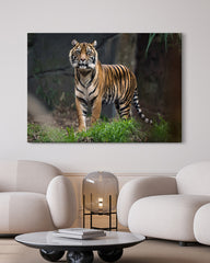 After Hover: Tiger