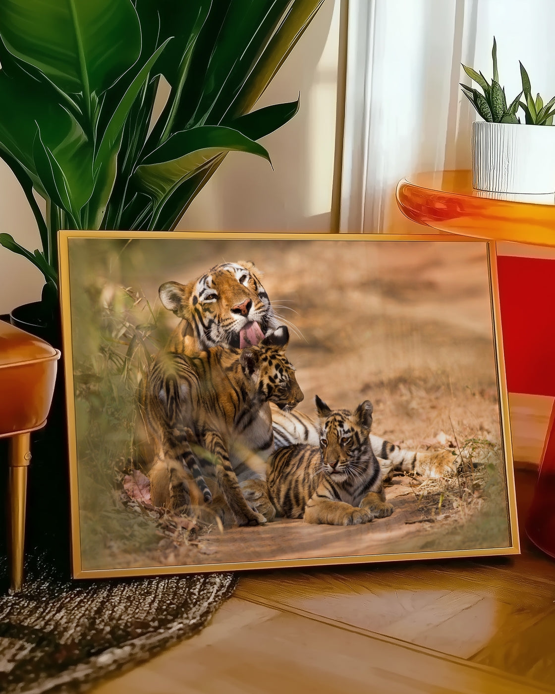canvas