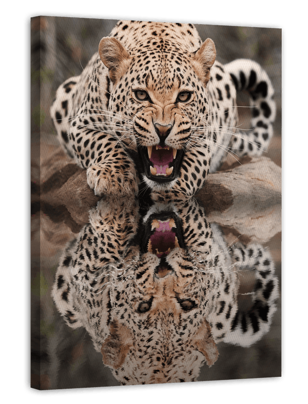 Fauchender Leopard