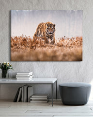 After Hover: Tiger