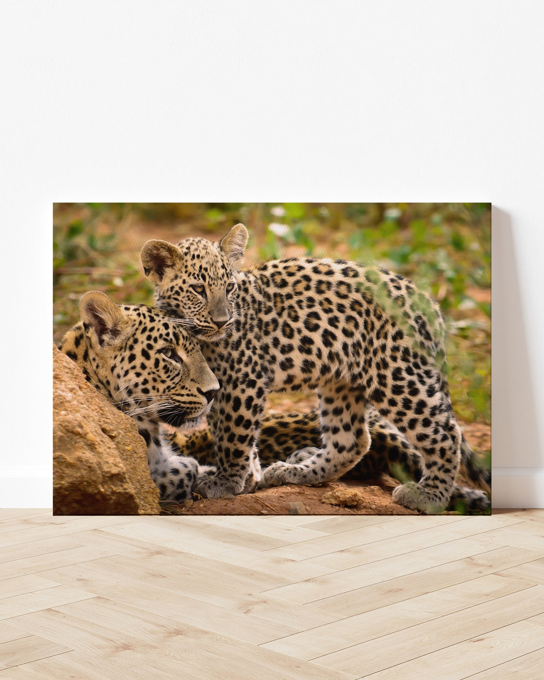 stretched-canvas