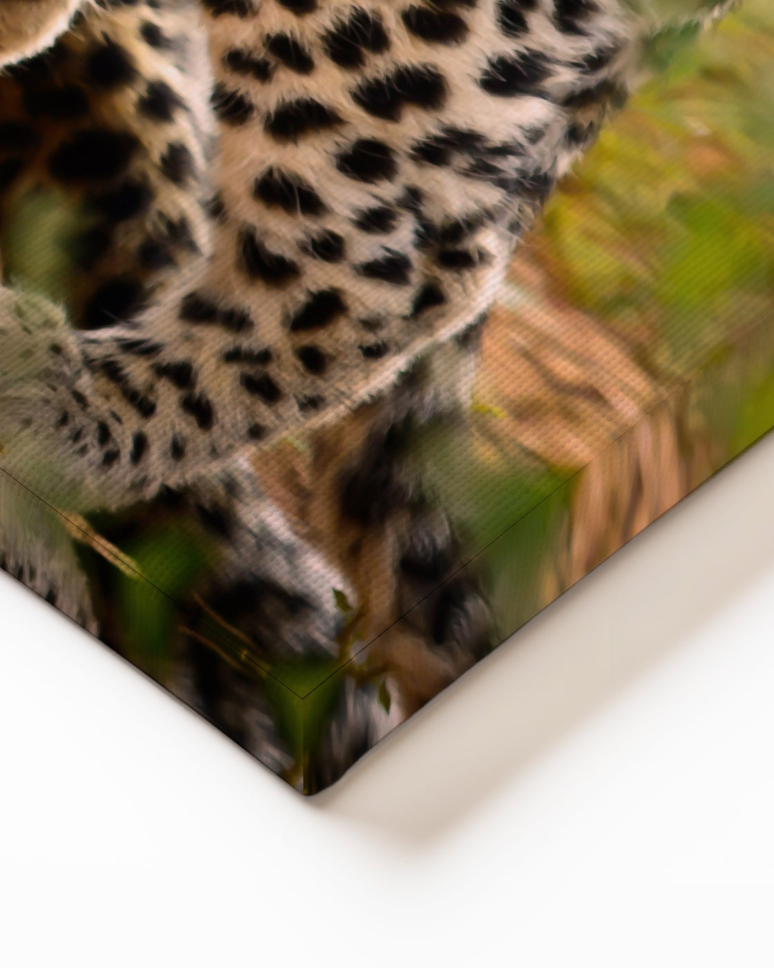 stretched-canvas