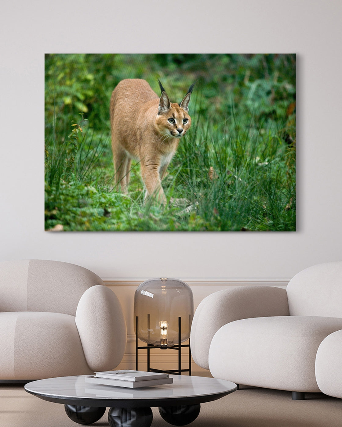 stretched-canvas
