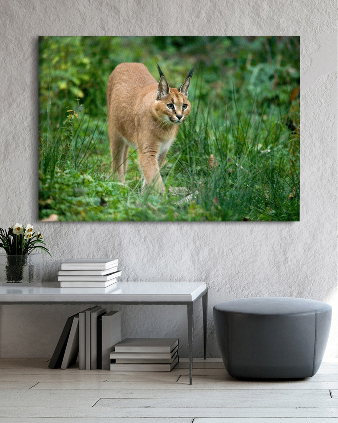stretched-canvas