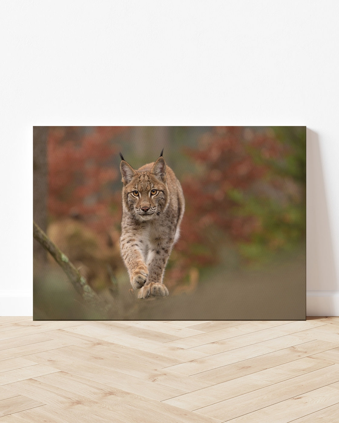 stretched-canvas