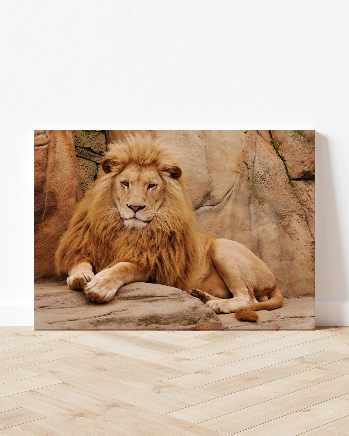 stretched-canvas