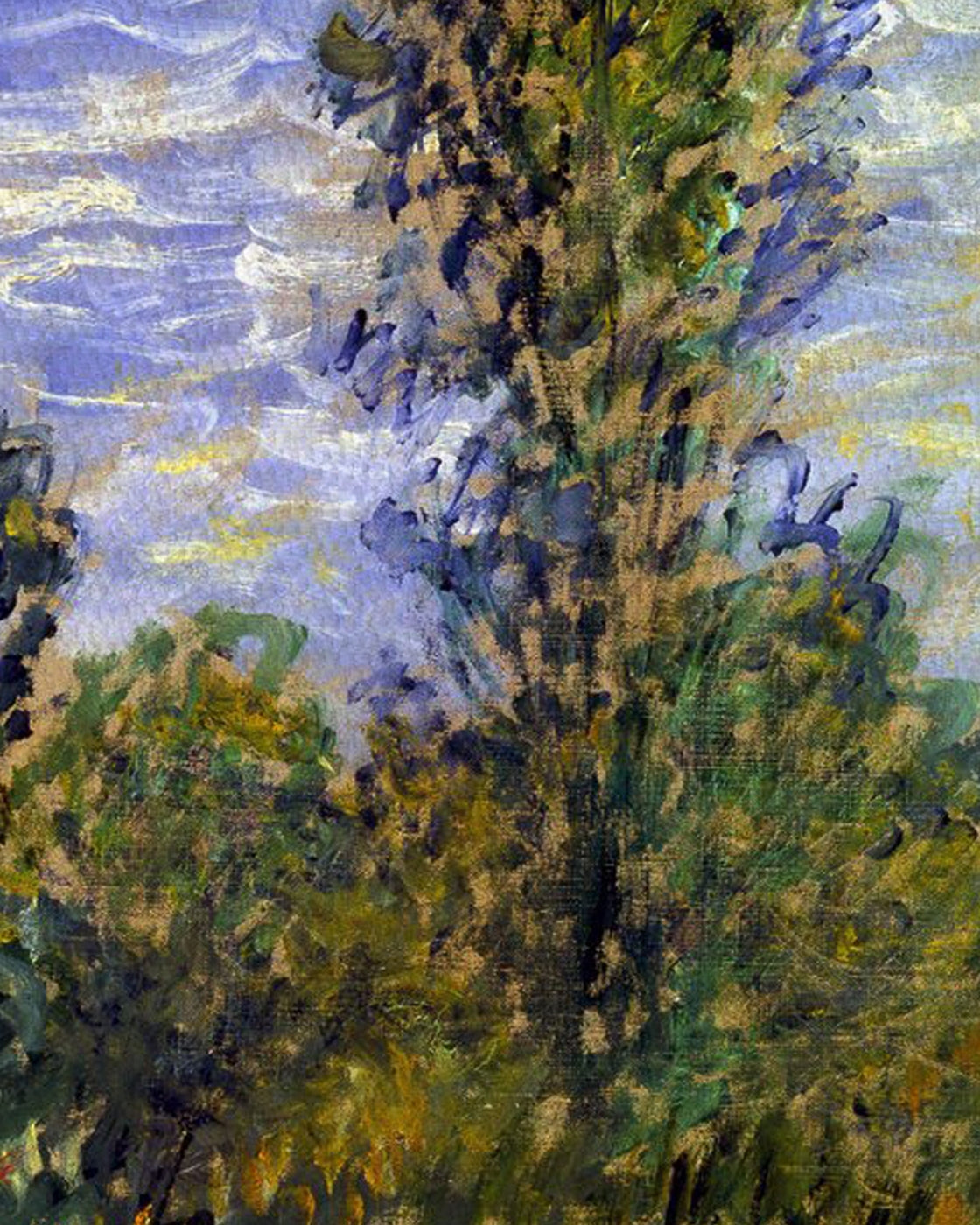 canvas