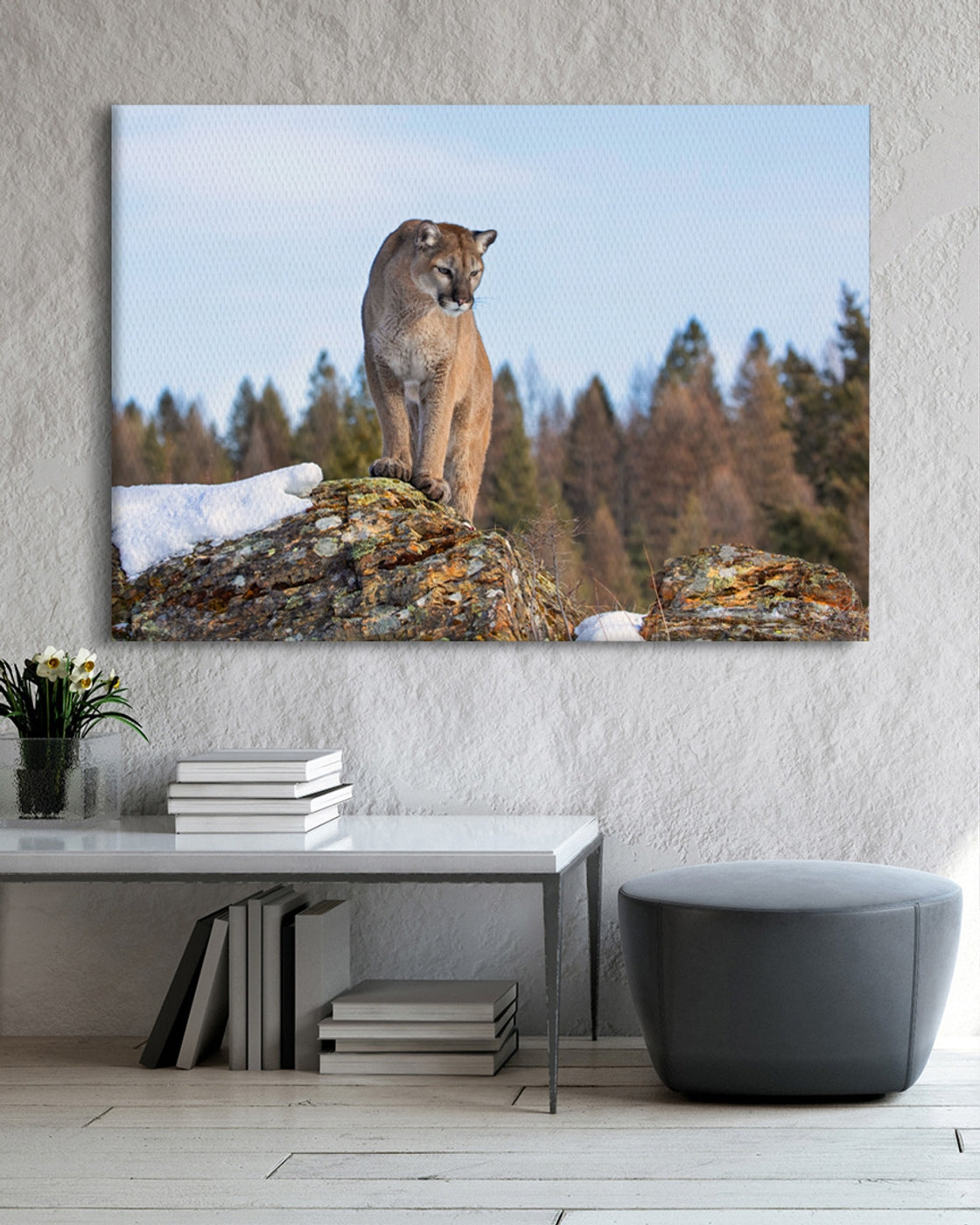 stretched-canvas