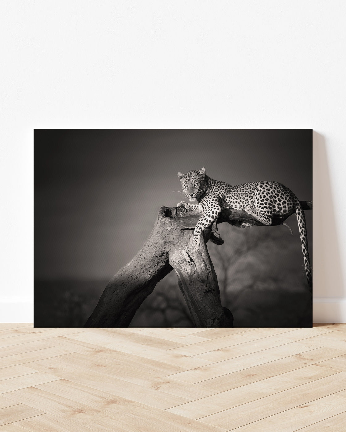 stretched-canvas