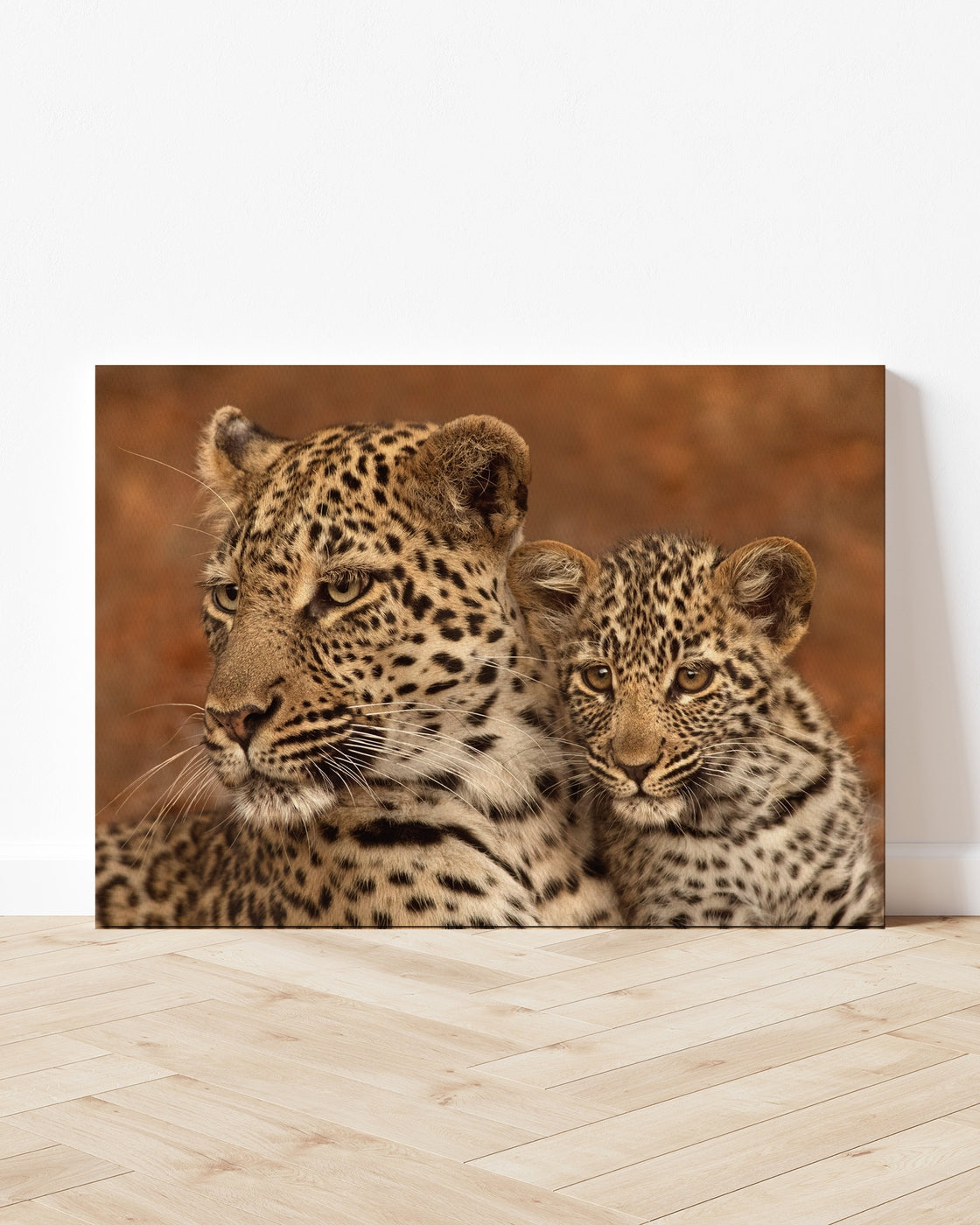 stretched-canvas