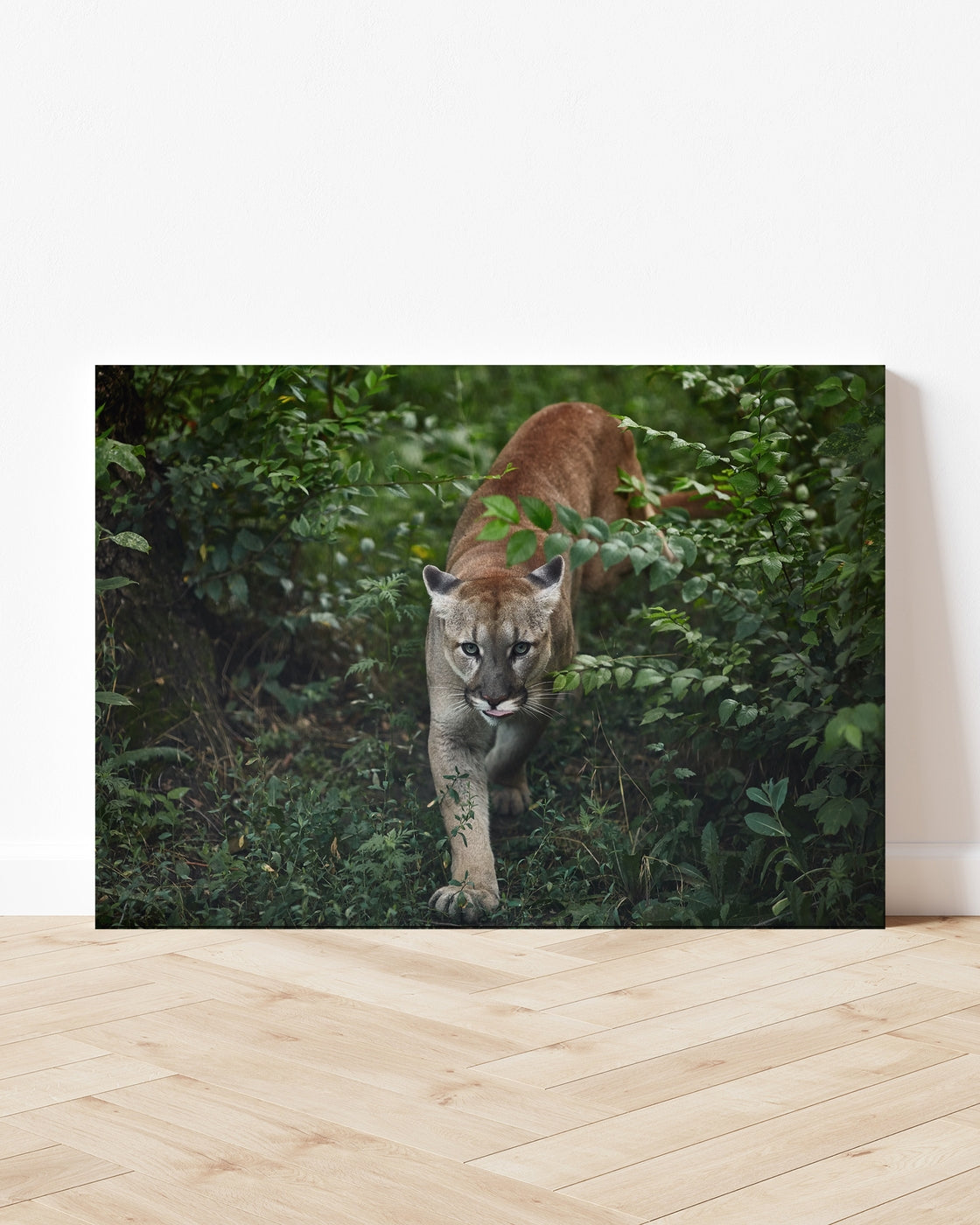 stretched-canvas