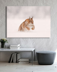 After Hover: Springender Luchs im Schnee