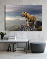 After Hover: Tiger in den Bergen