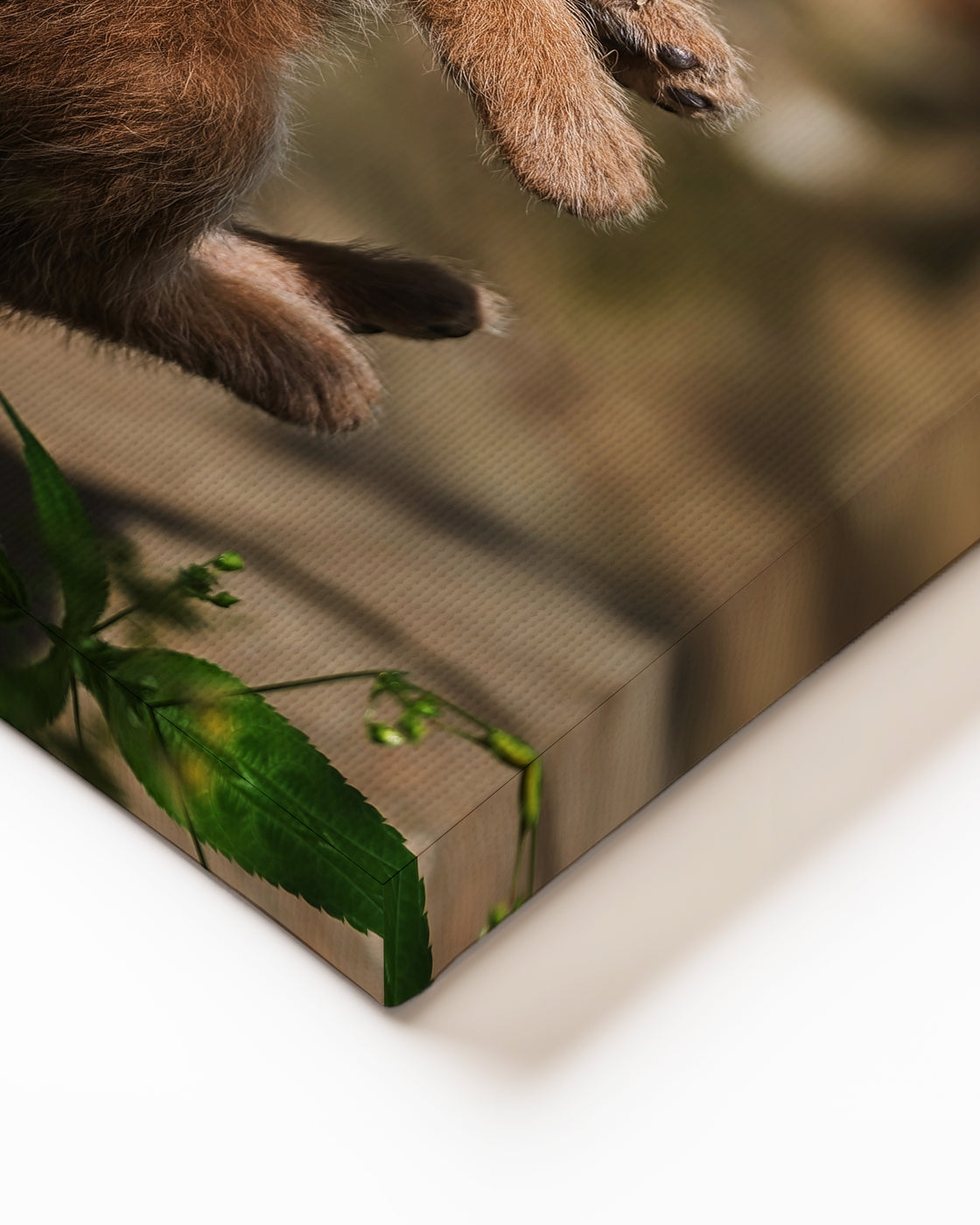 stretched-canvas