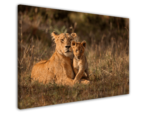 Löwen-Mama mit Baby