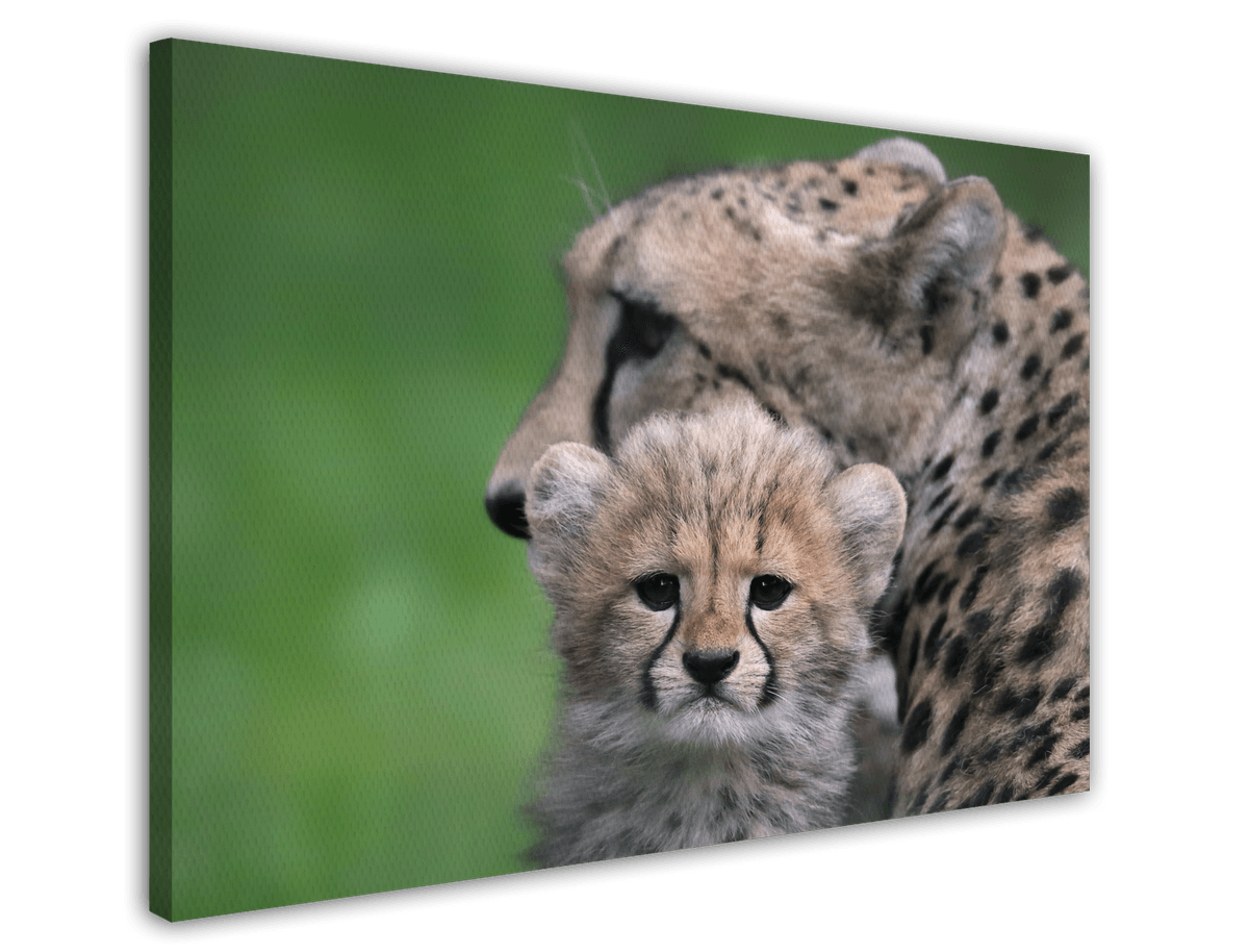 stretched-canvas