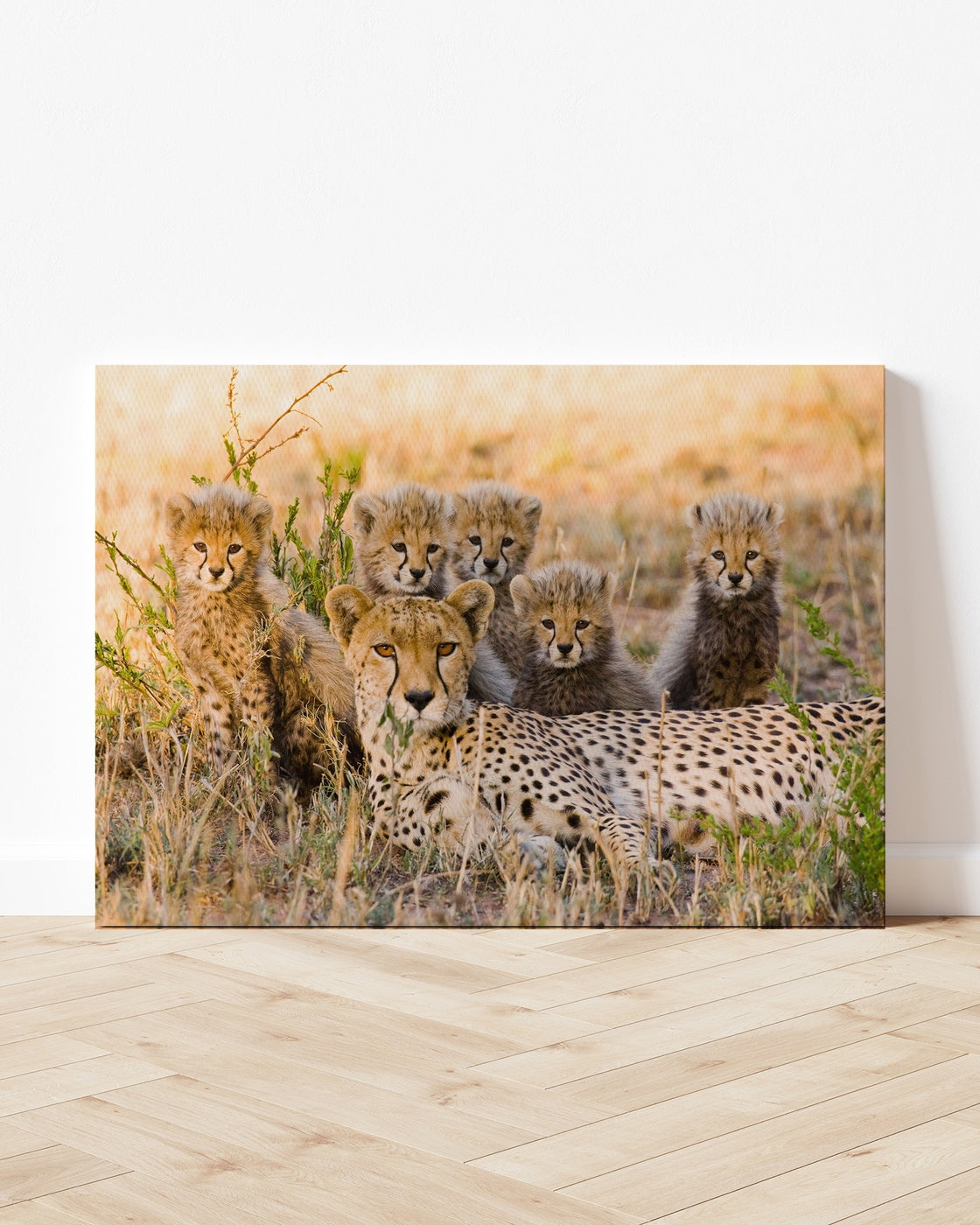 stretched-canvas