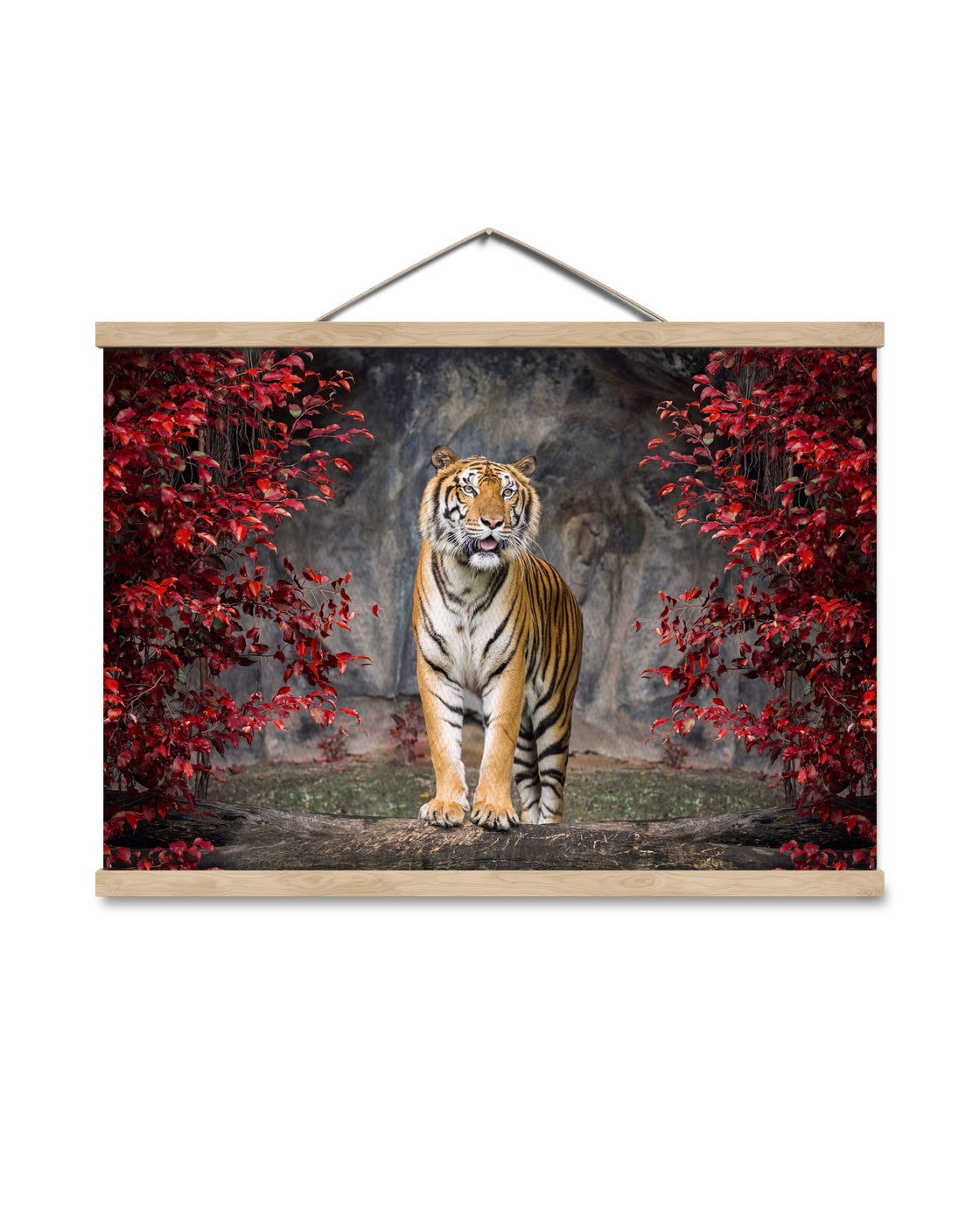 canvas