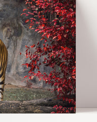 After Hover: Tiger in autumn landscape