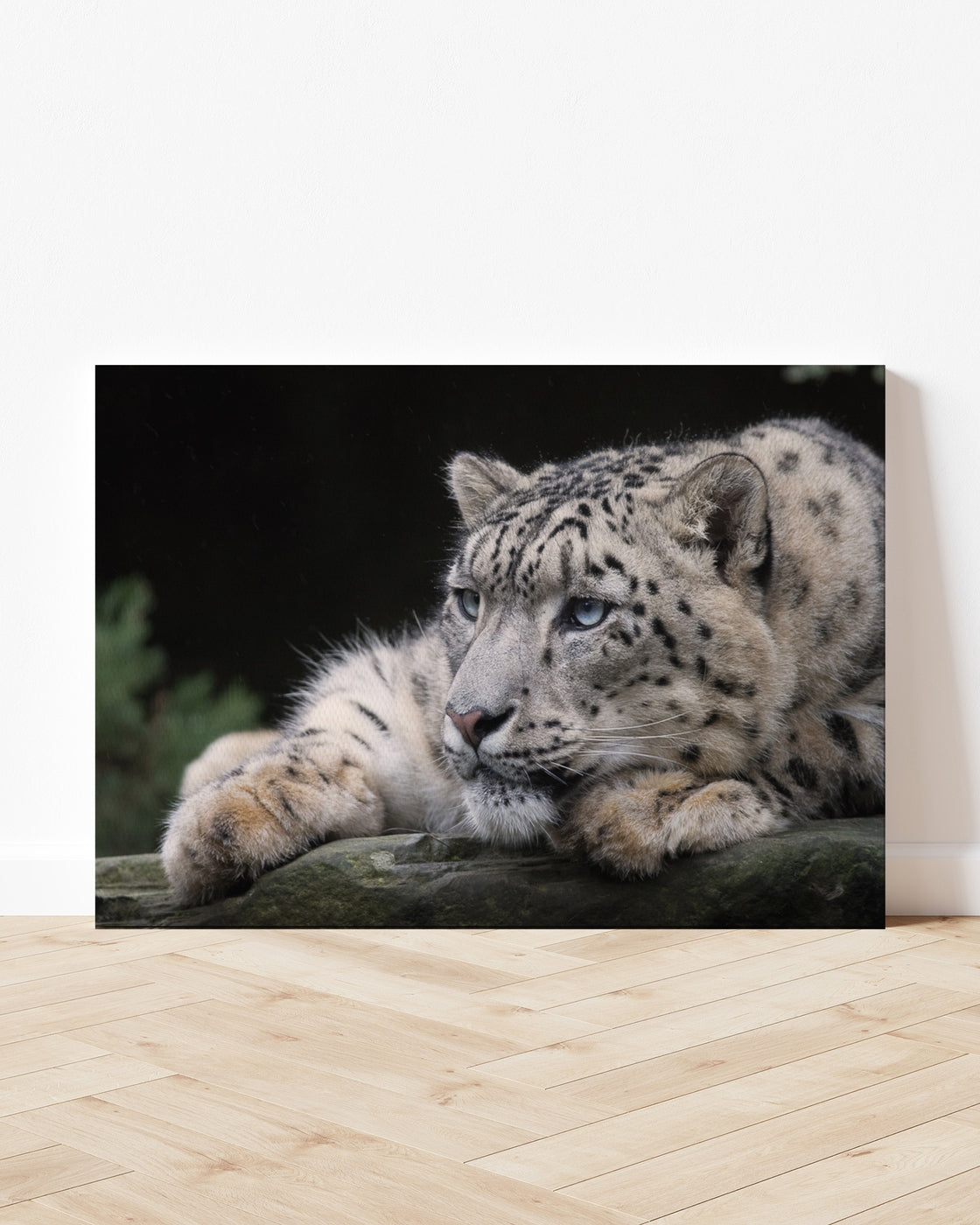 stretched-canvas