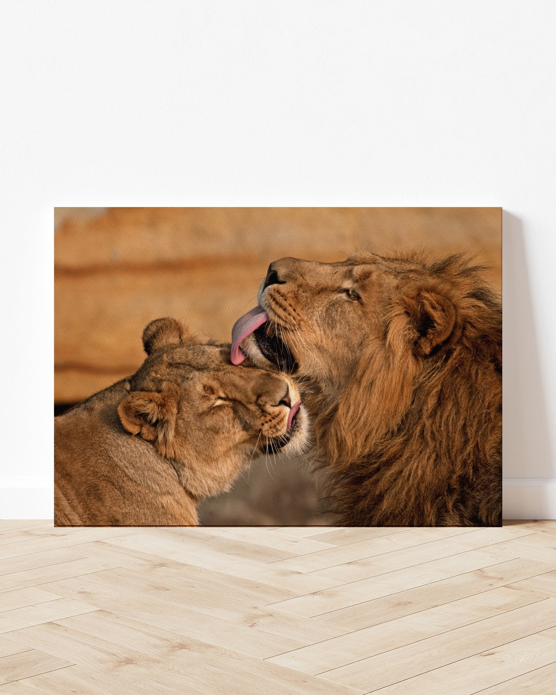stretched-canvas