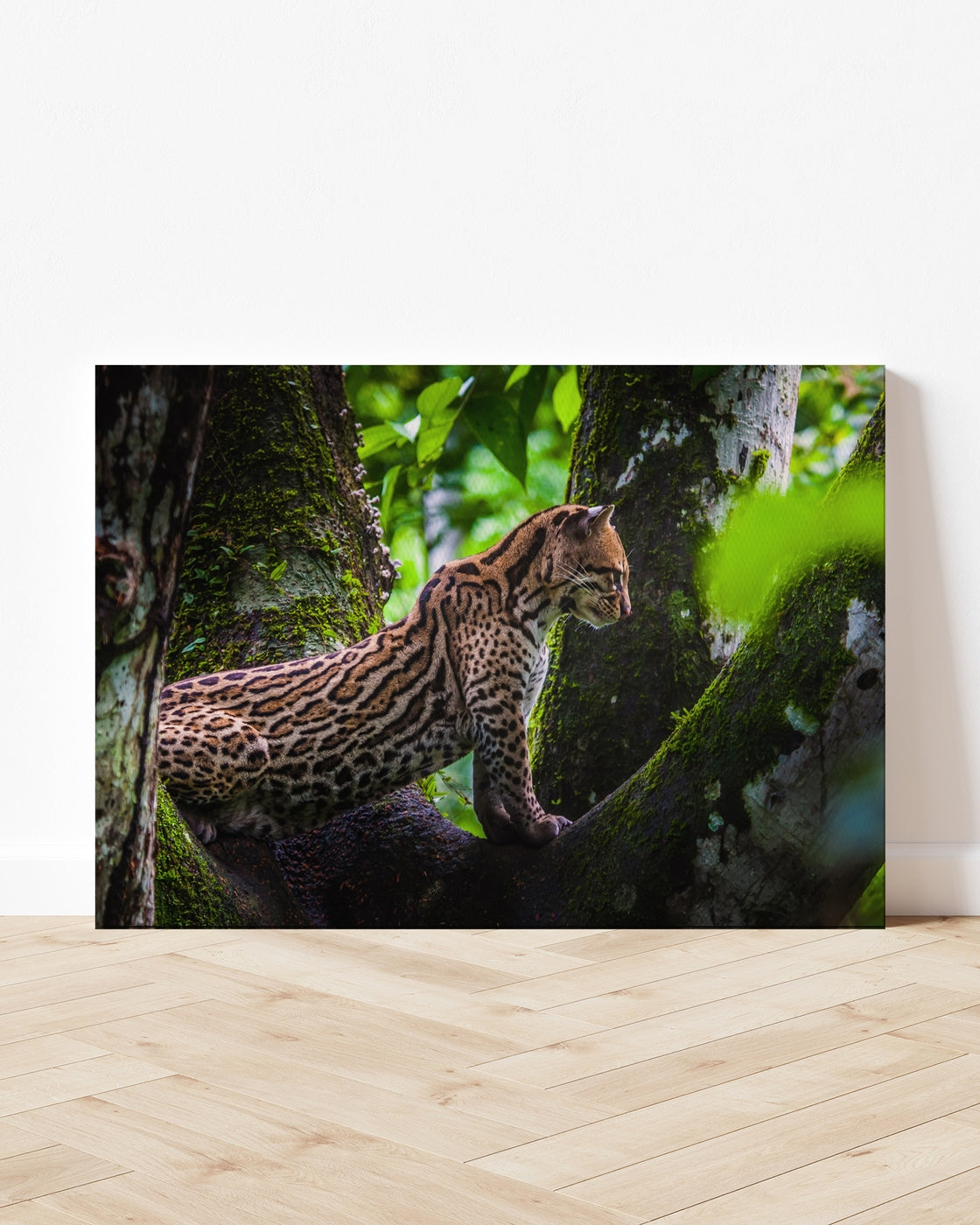 stretched-canvas