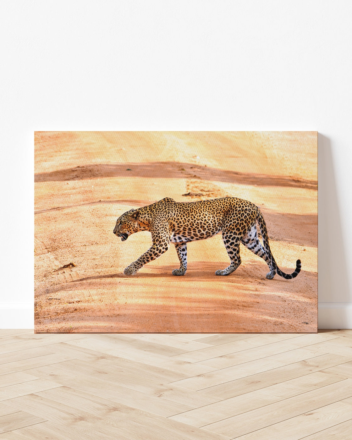 stretched-canvas