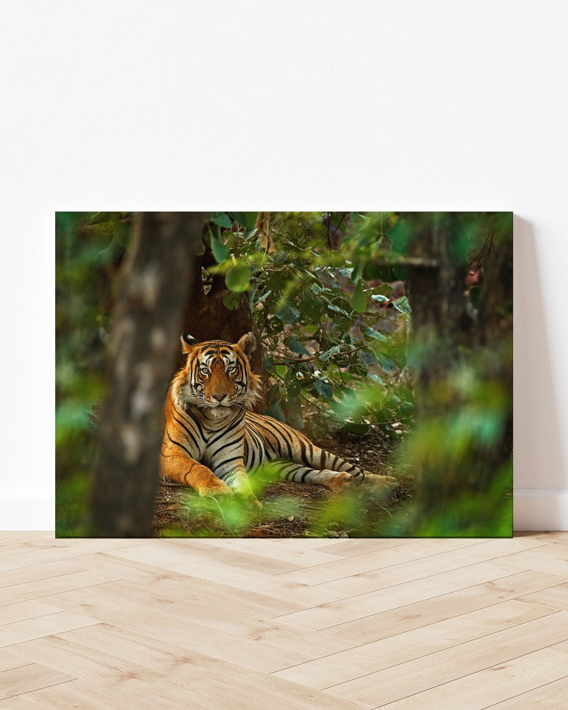 stretched-canvas