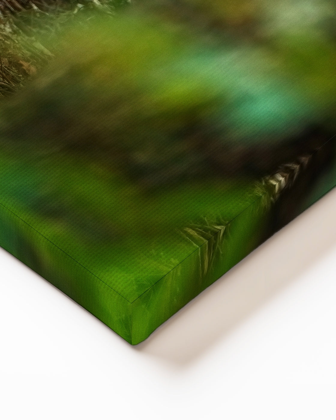 stretched-canvas