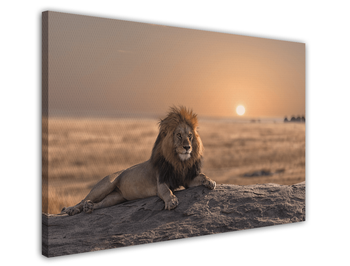 stretched-canvas