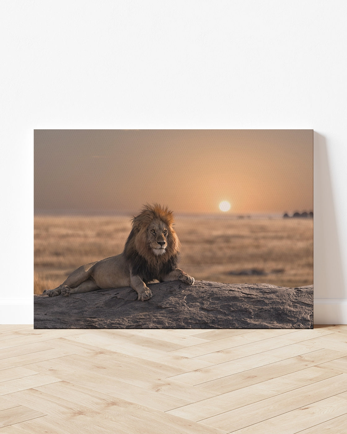 stretched-canvas