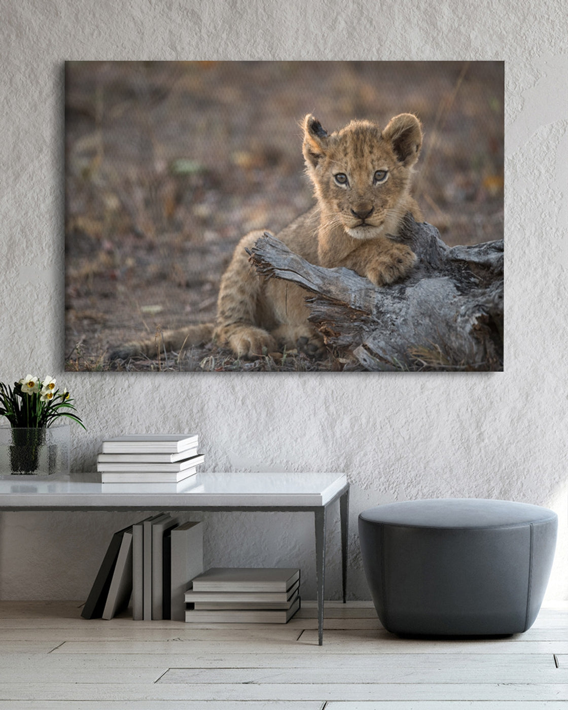 stretched-canvas
