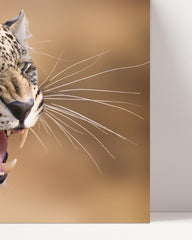 After Hover: Snarling Leopard