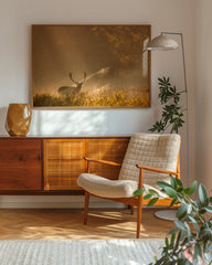After Hover: Hirsch in den Morgenstunden