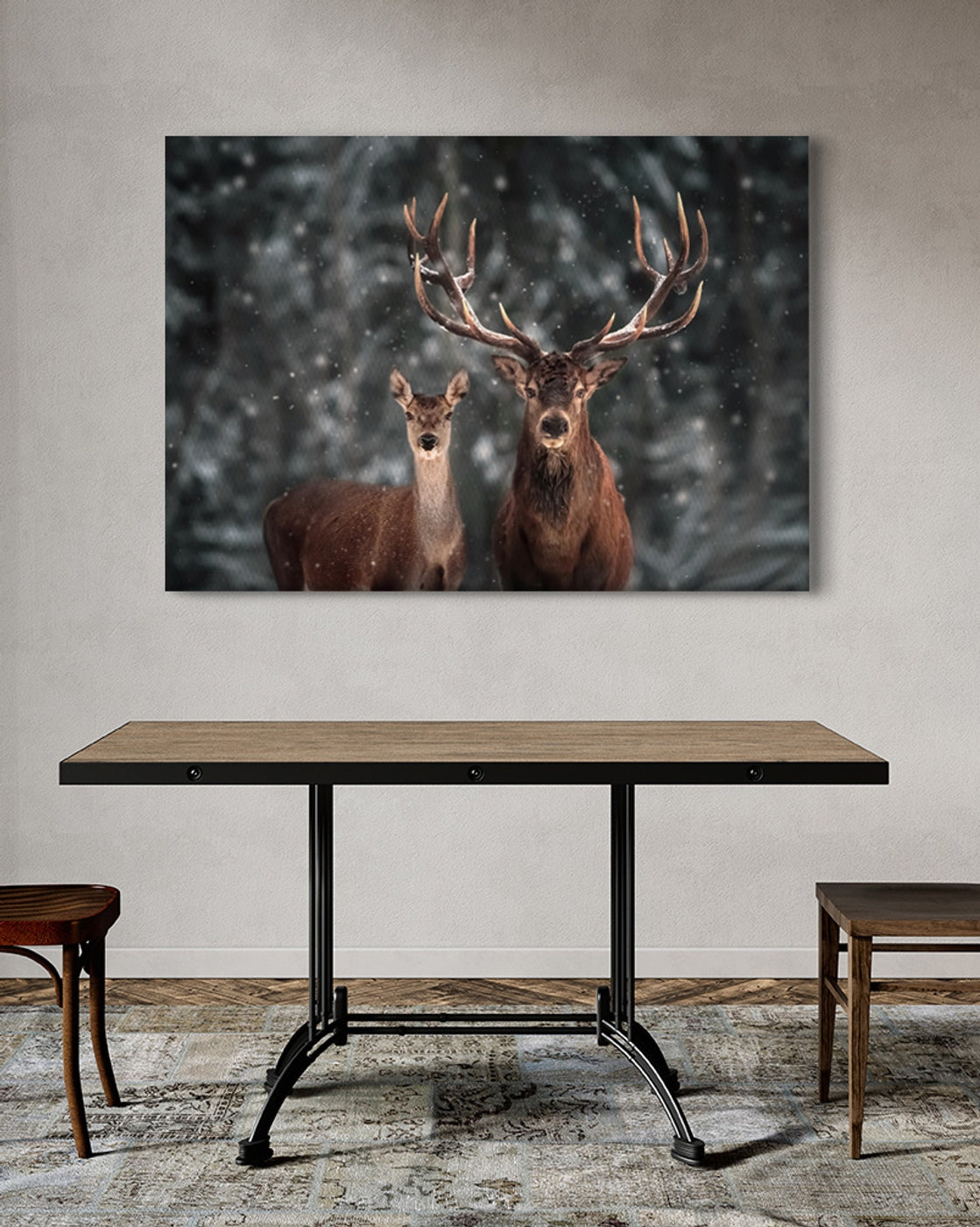 stretched-canvas
