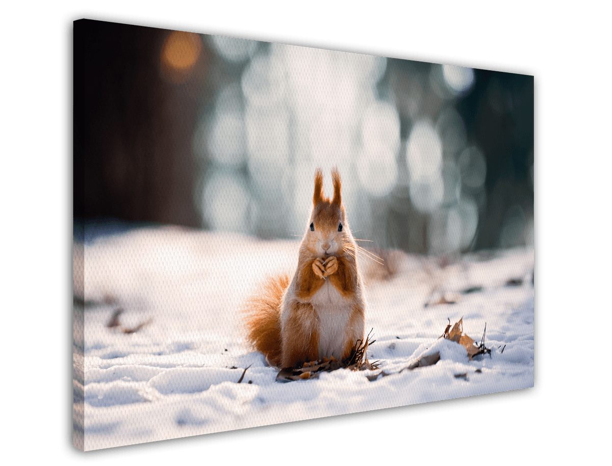 stretched-canvas